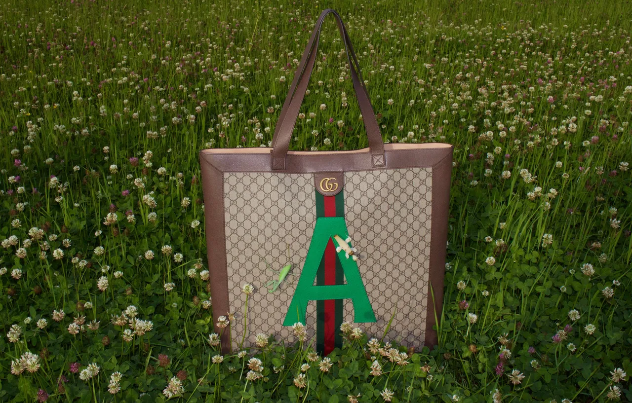 thuong hieu gucci - elle man 9