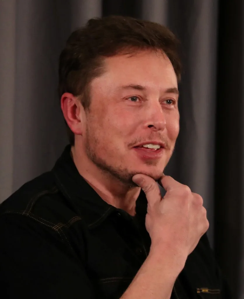 elon musk - elle man 8