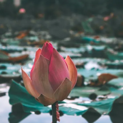 PHOTO BY: HAI AN WITH CANON EOS M6