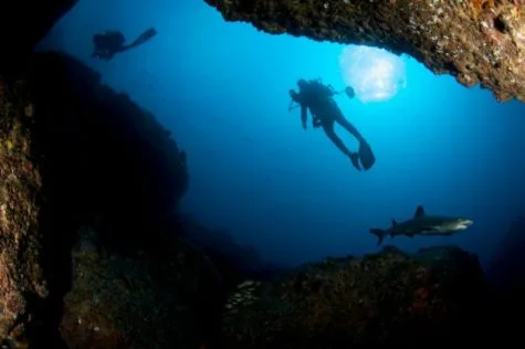 Đảo Cocos, Costa Rica