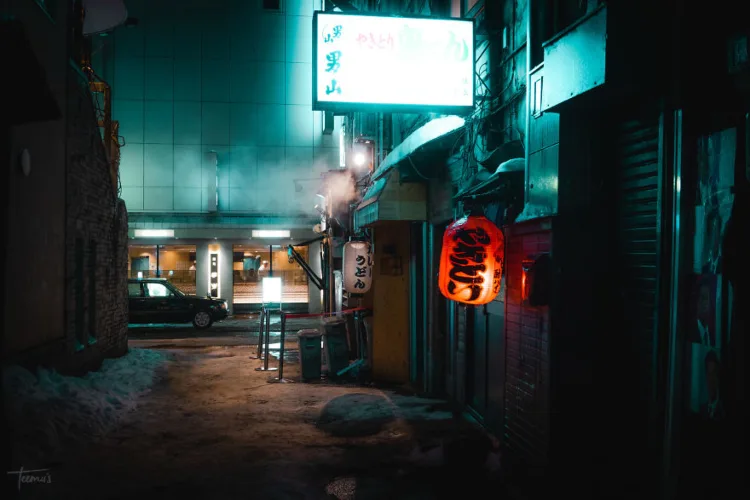 sapporo night 11-anh nhat ban-elleman-1119