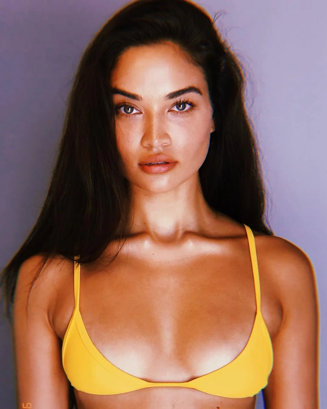 Ảnh: Instagram @shaninamshaik