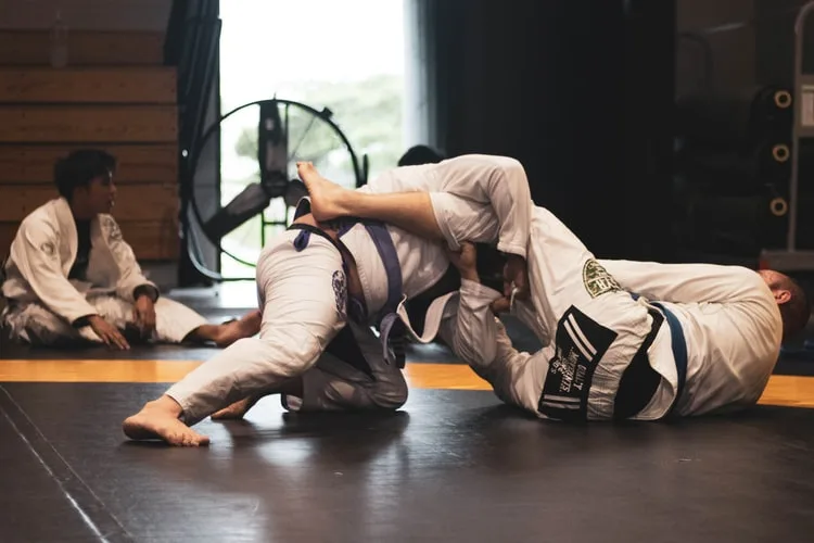 tap vo judo - elle man