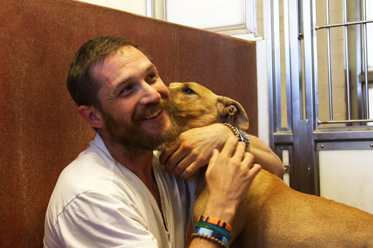 tom hardy - elle viet nam