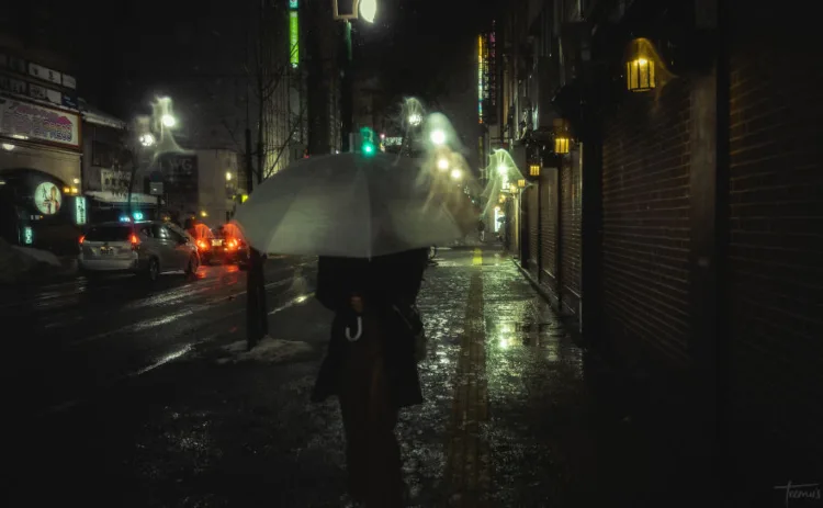 sapporo night 26-elleman-1119