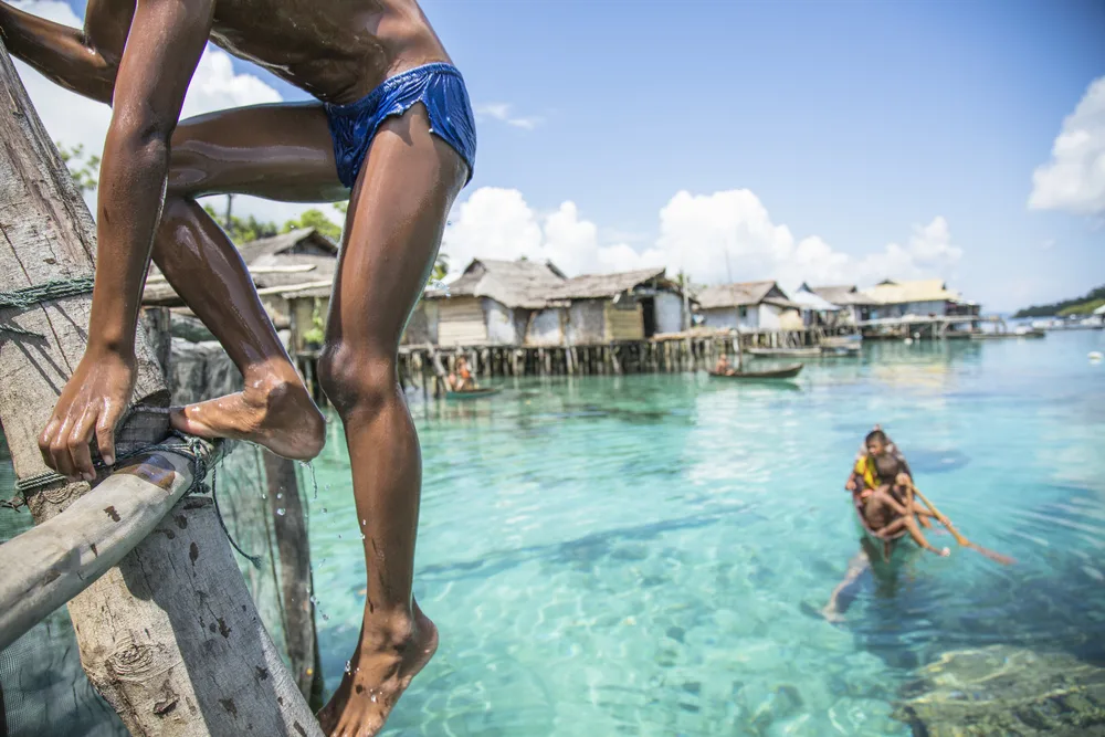 Togean _ elleman3