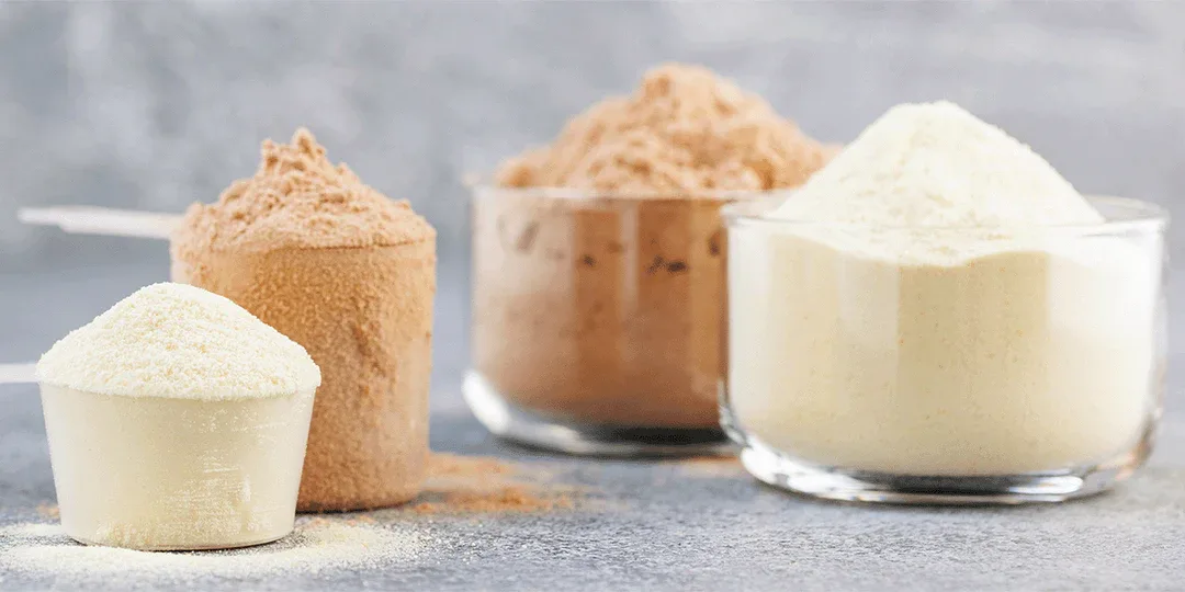 các loại whey proteinn