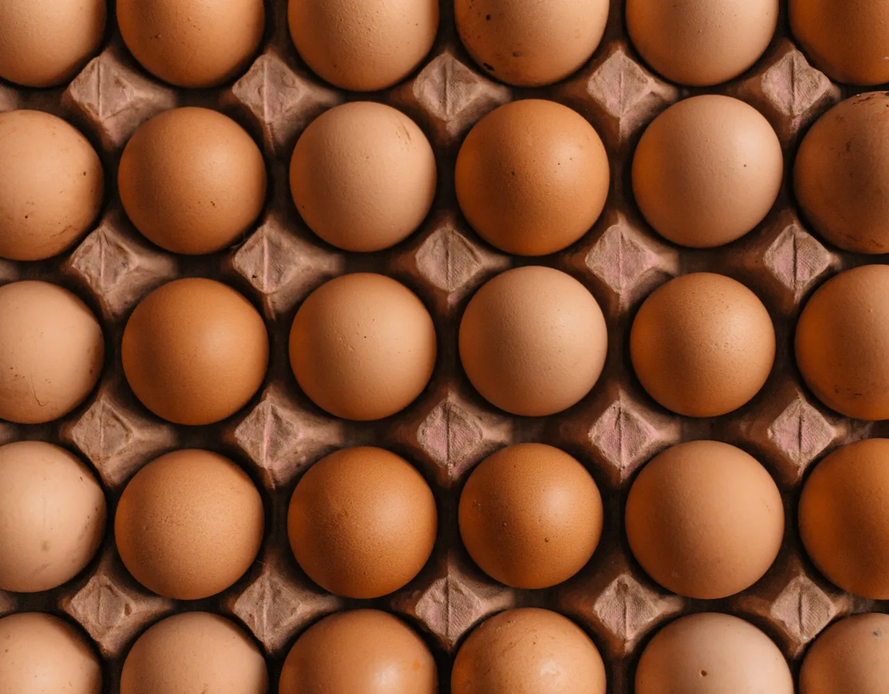 protein
