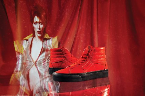 Ảnh: Solecollector
