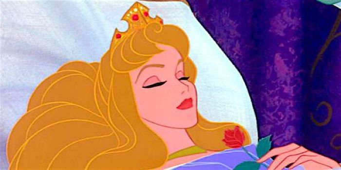 công chúa disney ngủ trong rừng bản vẽ