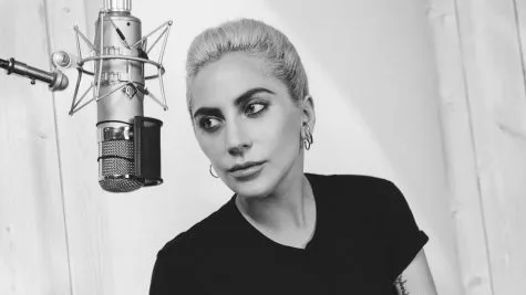Lady Gaga - elle man 1