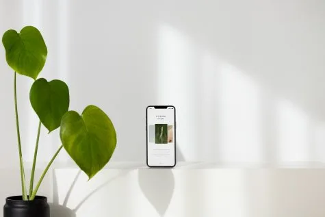 app hẹn hò