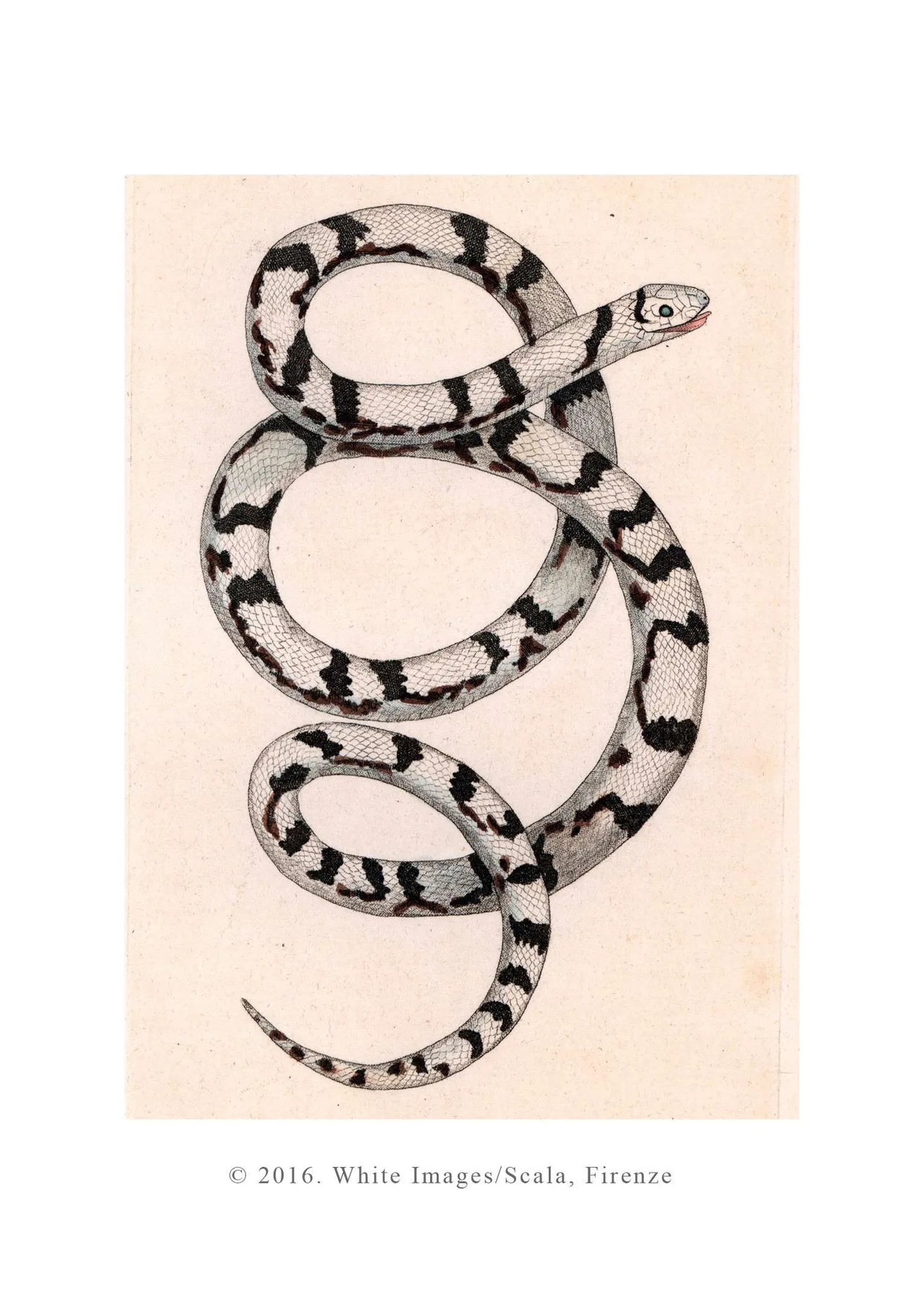 logo thuong hieu gucci - elle man 1