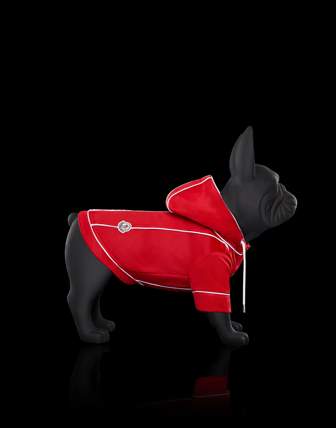thuong hieu moncler mondog - elle man - 2