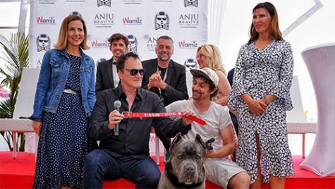 Chú chó Pitbull trong phim của Quentin đạt giải palm dog của LHP Cannes