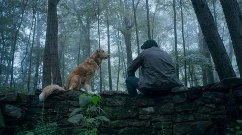 good boy