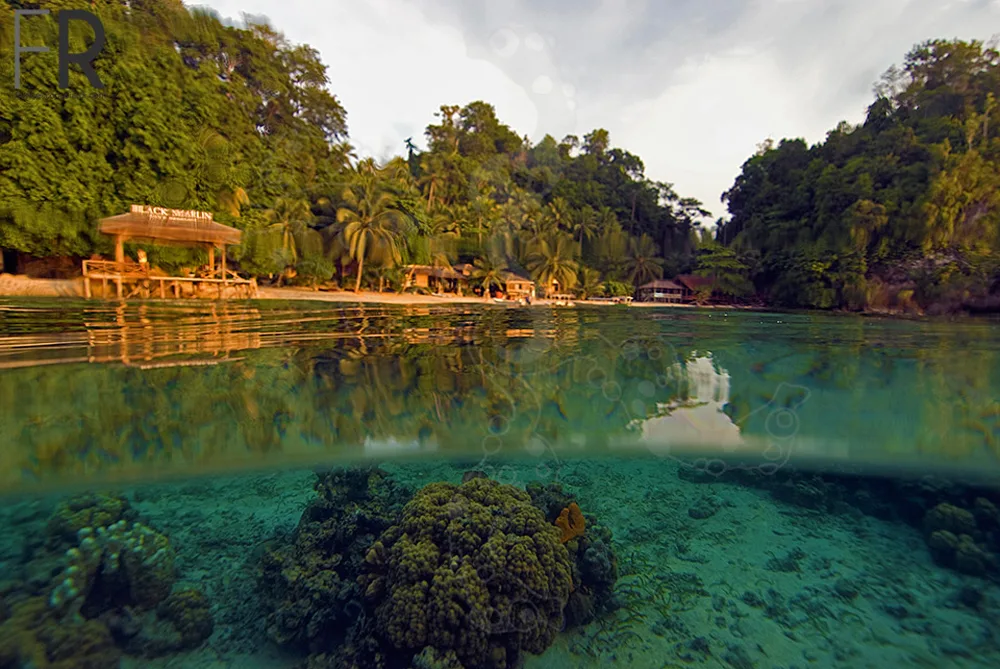 Togean _ elleman5