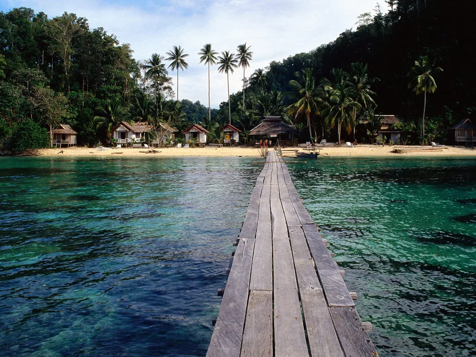 Togean _ elleman1