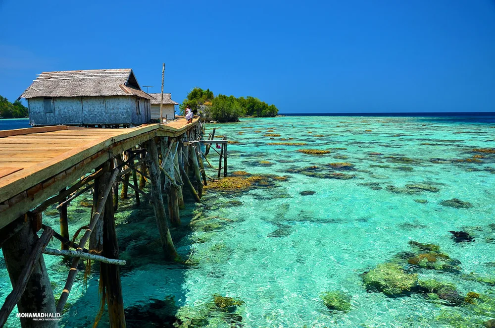 Togean _ elleman12