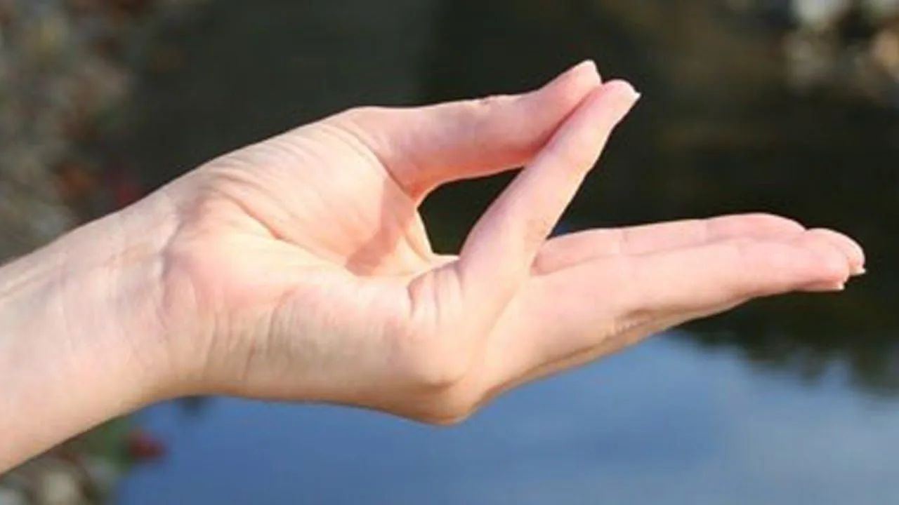 thủ ấn yoga