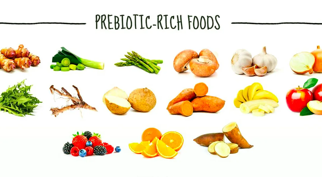 bệnh cảm lạnh elle man prebiotics foods