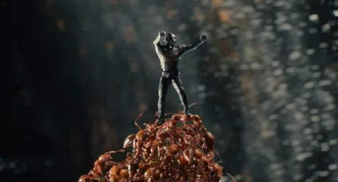 Ant Manjpg