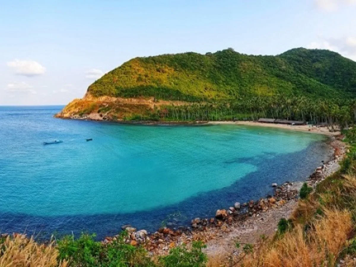cây mến