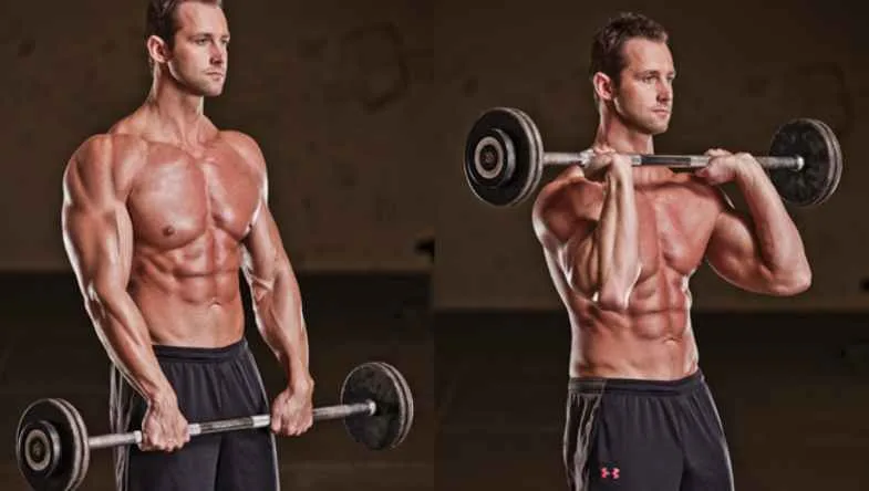 Reverse Curls - Bodybuilding Wizard