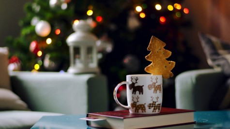 Bài hát lấy cảm hứng từ câu chuyện về Rudolph, chú tuần lộc thứ 9 của ông già Noel.