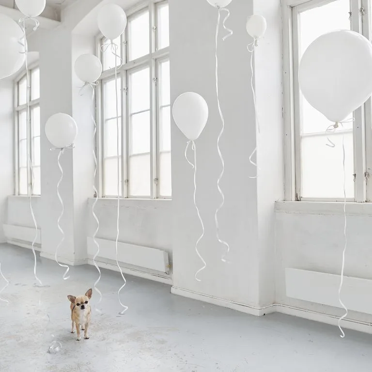 Decor tiệc có tone trắng