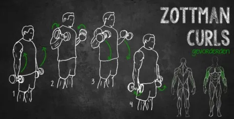 Tập tạ tay kiểu Zottman Curl