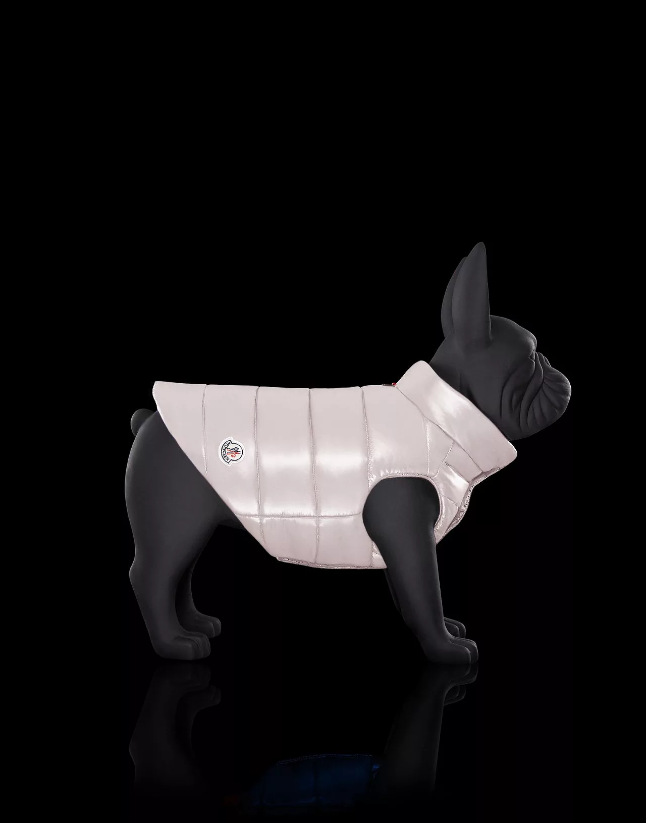 thuong hieu moncler mondog - elle man - 3