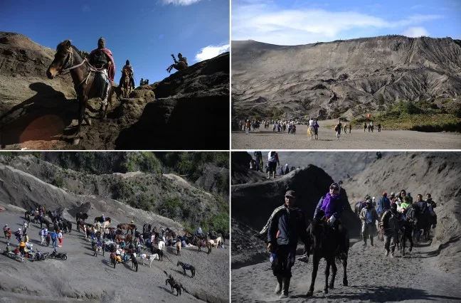 Ngựa là phương tiên di chuyển chính để đến Bromo Ngựa là phương tiên di chuyển chính để đến Bromo