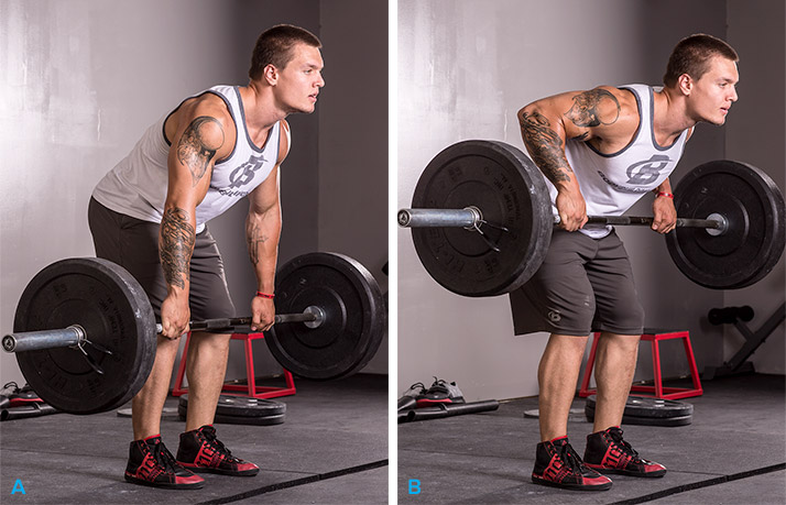 huấn luyện viên thể hình - bent rows - elle man