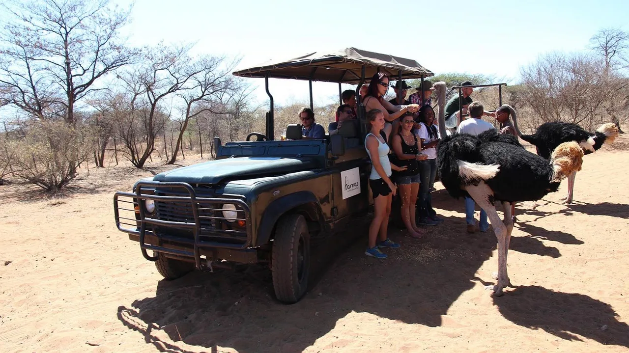 namibia - elle viet nam